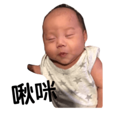 180239238