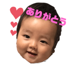 180264689