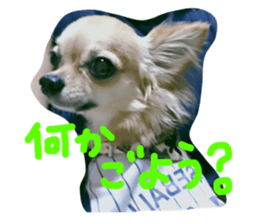 18026882