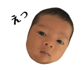 180273427