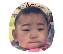 18034323