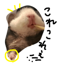 18038005