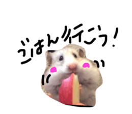 18038016