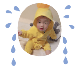 180388293