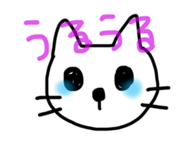 18044854