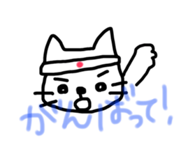 18044867