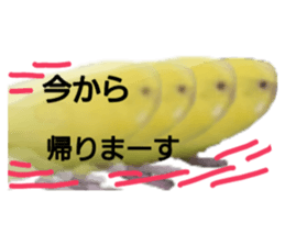 18045595