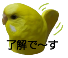 18045596