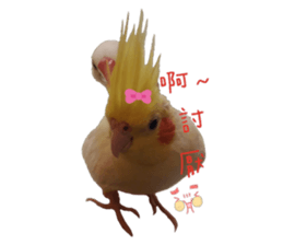 180462364