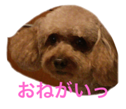 18046407