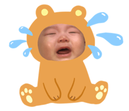 180511603