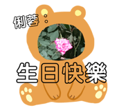180513315