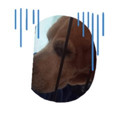 180528734