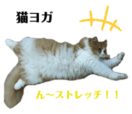 180528857