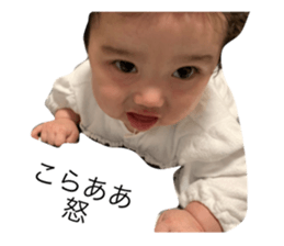 180533726