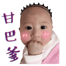 18054790