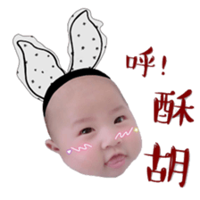 18054798
