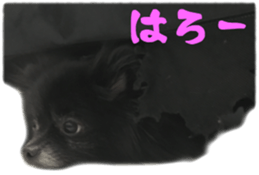 18055867