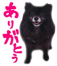 18055868