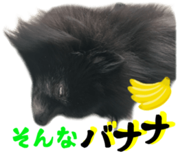 18055890