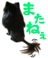 18055900