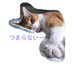 18056787