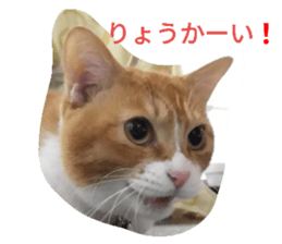 18056798