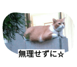 18056809