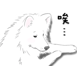 180655132