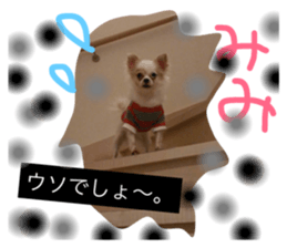 18066063