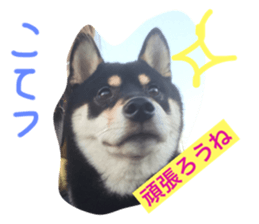 18066065