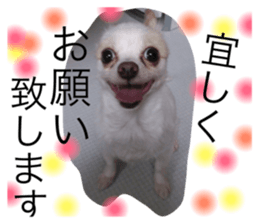 18066089
