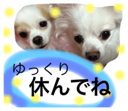 18066090