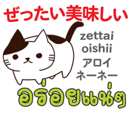 18071446