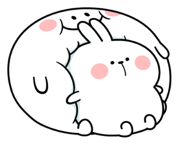 18073308