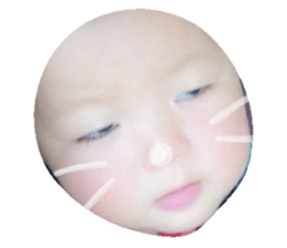 18074825