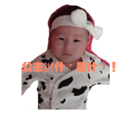180803895