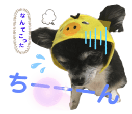 180804646
