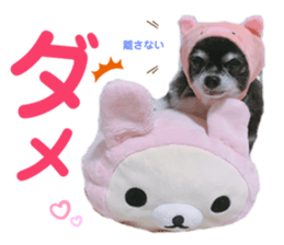 180804647