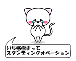 180806381