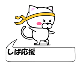180819224