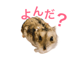180823478