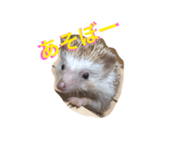 180823483