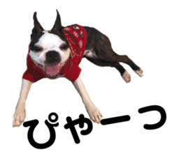 180823683