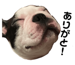 180823686