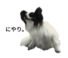 180838234