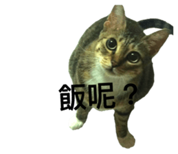 180849134