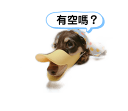 180850200