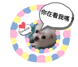 180877709