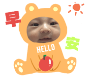 180879206